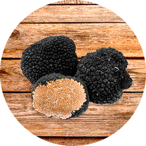 Trufas Negras de Otoño