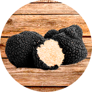 Trufas Negras de Verano