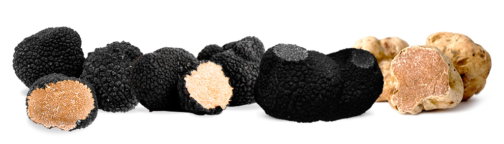 Gourmet & Chic. Truffle Artisans