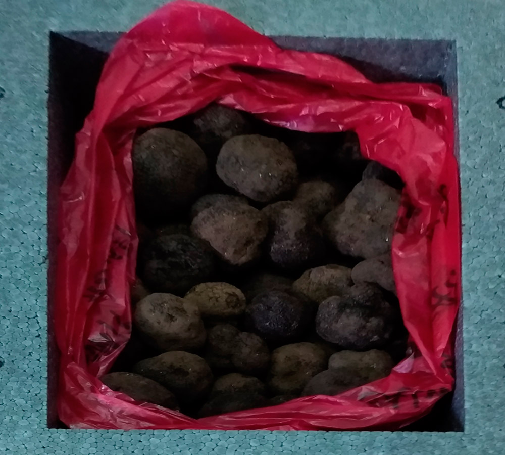 This is how truffles come to us from the countryside. Distributors and importers of truffles. Gourmet & Chic.